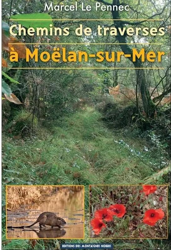 Chemins de traverses à Moëlan-sur-Mer