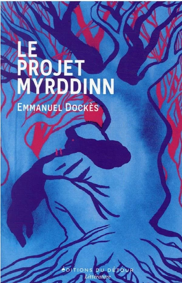 Le projet Myrddinn