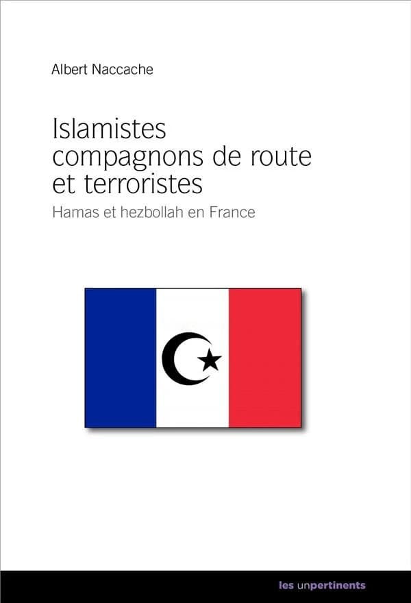Hamas et Hezbollah de France : islamistes, compagnons de route et terroristes. Tome 2