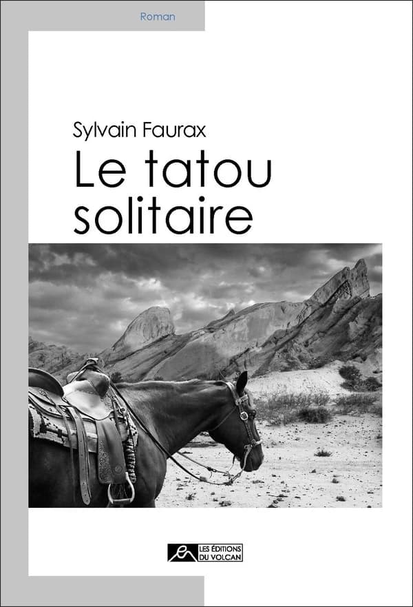 Le tatou solitaire : roman