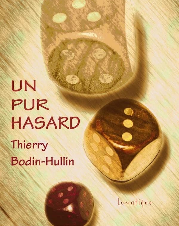Un pur hasard : roman