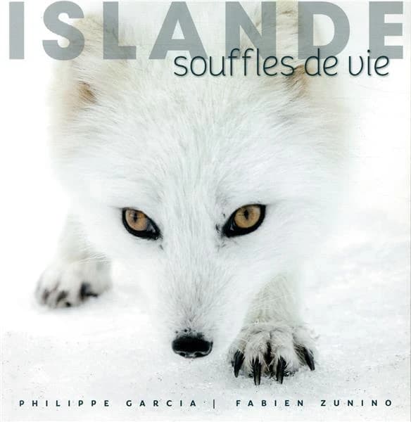 Islande : souffles de vie