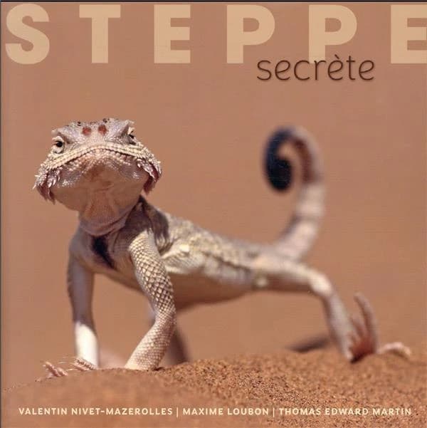 Steppe secrète