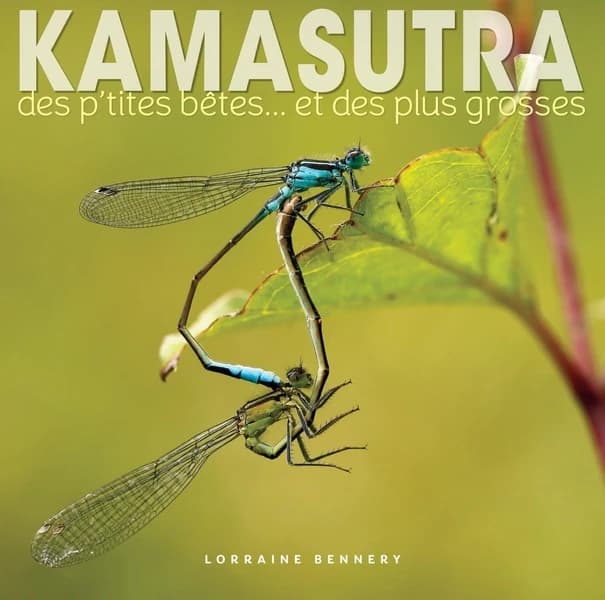 Kamasutra des p'tites bêtes, et des plus grosses