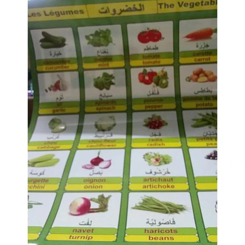 صويرات تعليمية الخضروات عربي