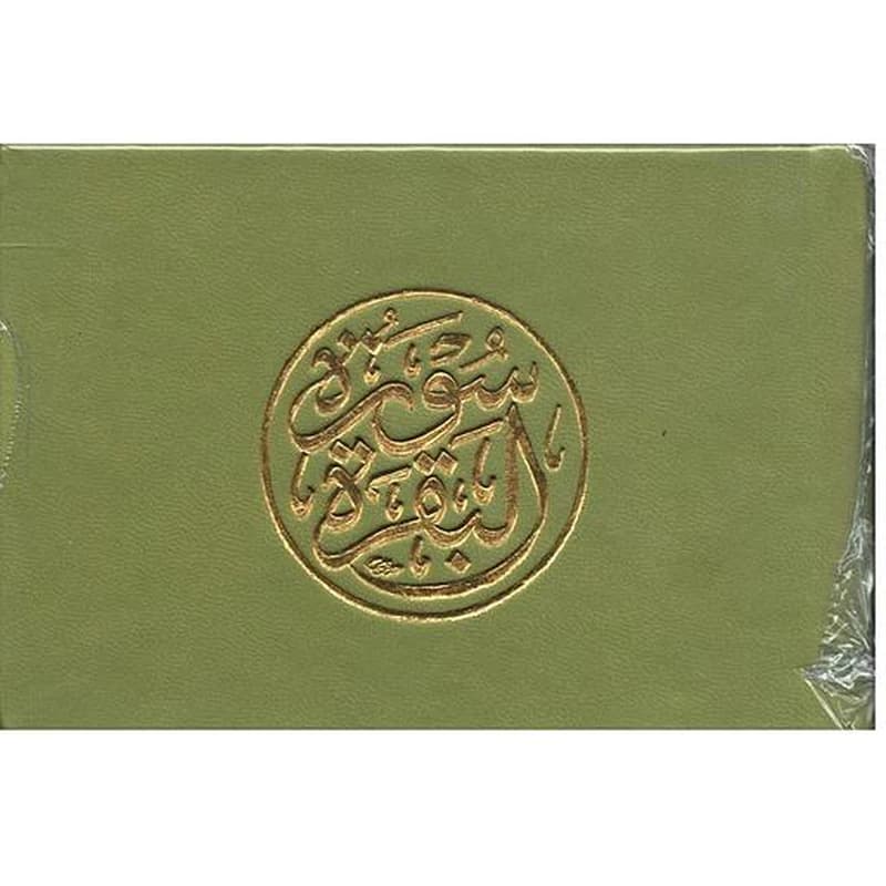 سورة البقرة ثمن جلد بيو جيب