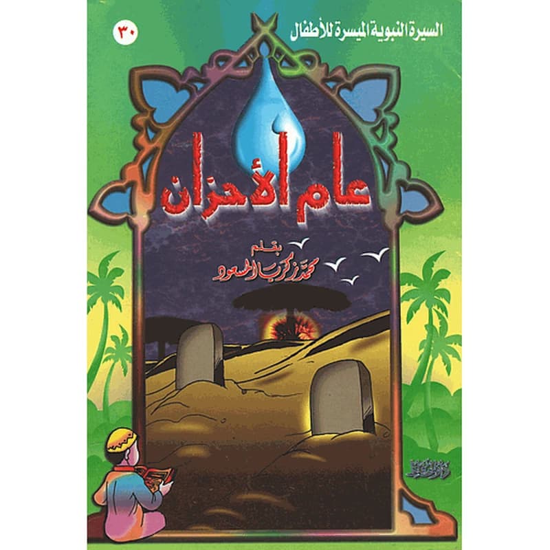 عام الأحزان 30