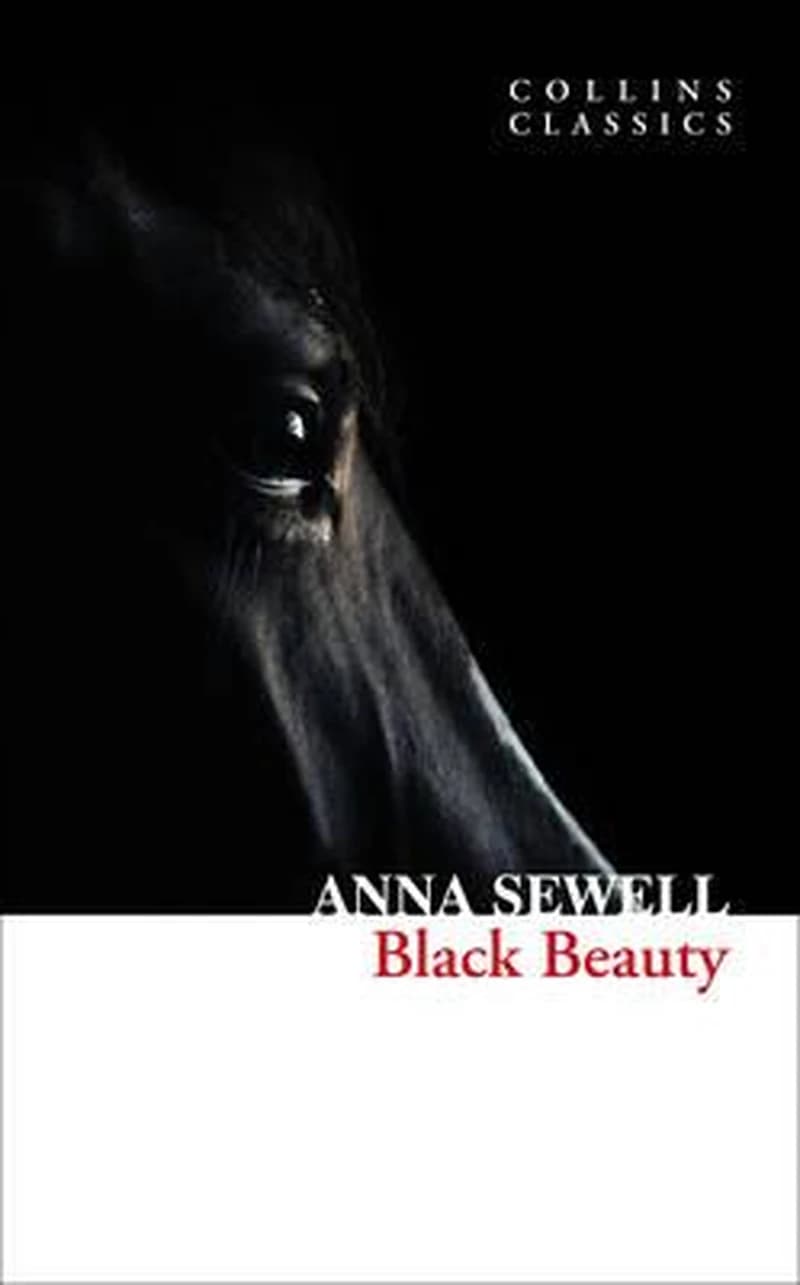BLACK BEAUTY