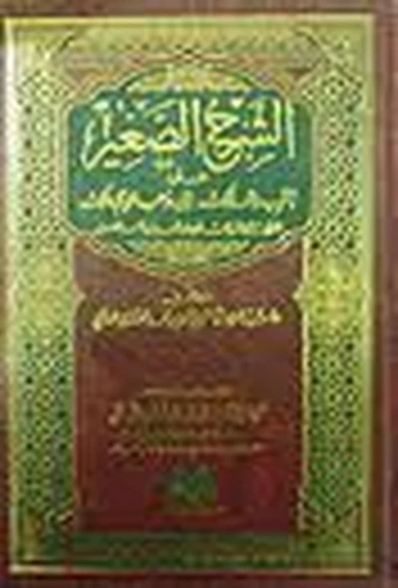الشرح الصغير على أقرب المسالك إلى مذهب الإمام مالك 1