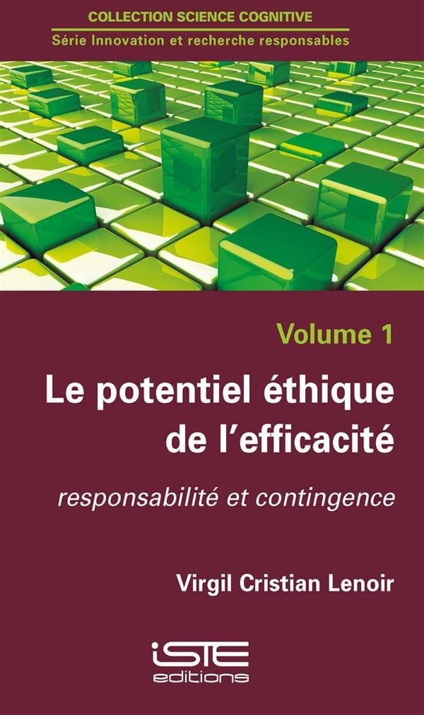 Le potentiel éthique de l'efficacité : responsabilité et contingence