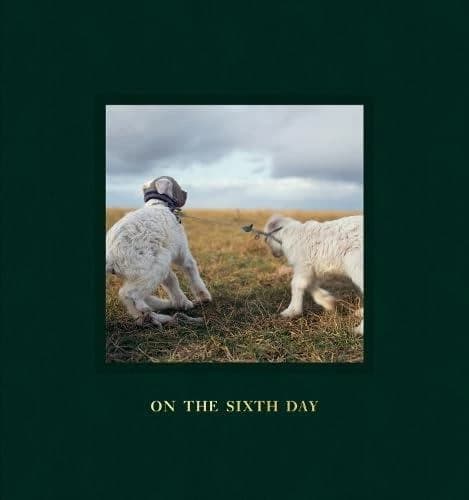 On the sixth day