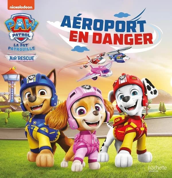 Aéroport en danger