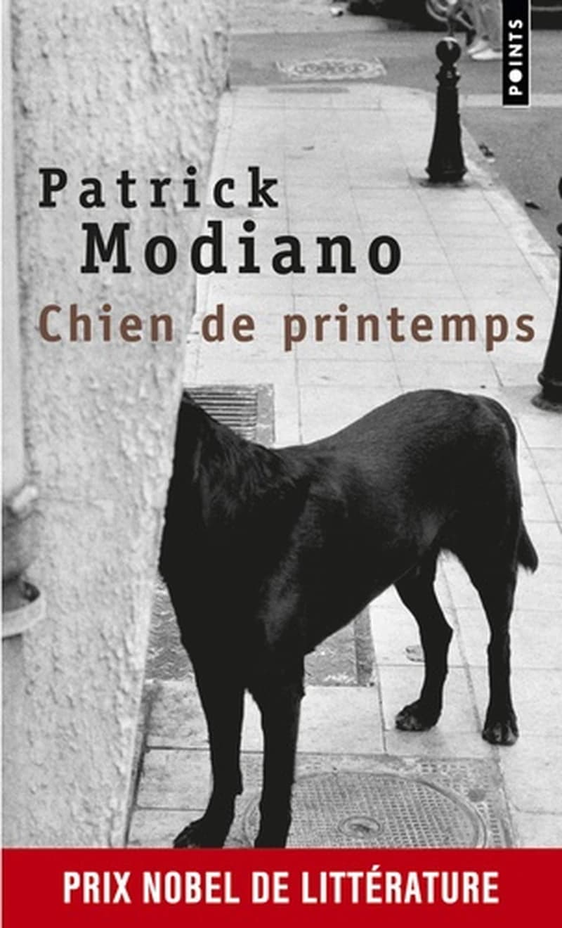 Chien de printemps : roman