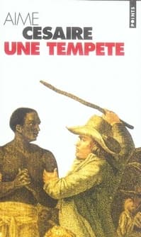 Une tempête : théâtre : d'après "La tempête" de Shakespeare, adaptation pour un théâtre nègre