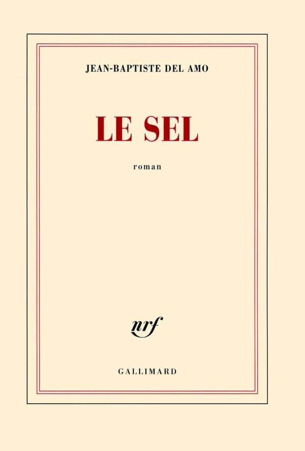 Le sel : roman