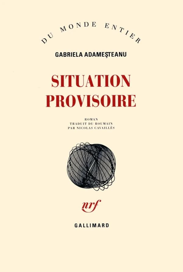 Situation provisoire : roman