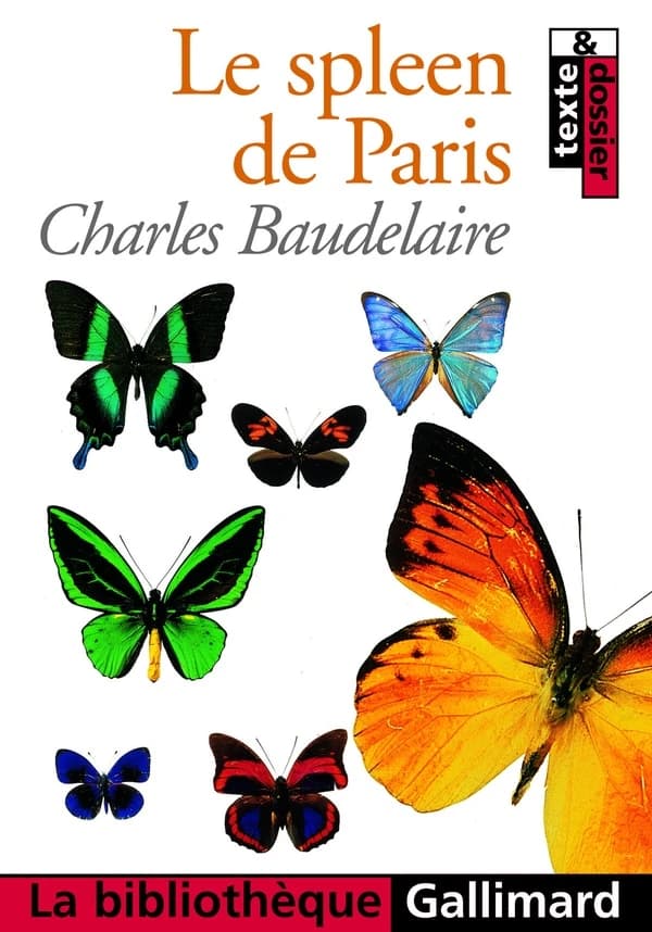 Le spleen de Paris : petits poèmes en prose
