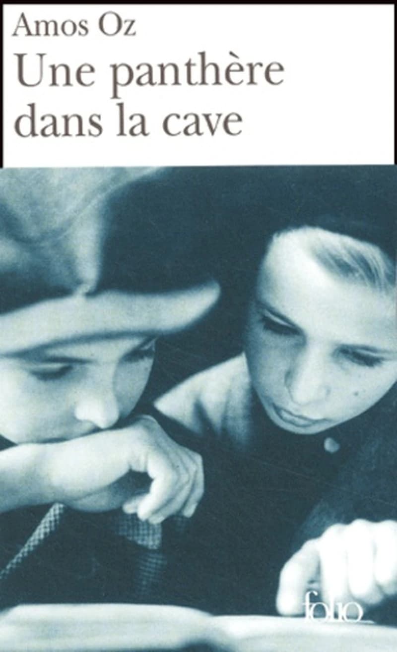 Une Panthère dans la Cave