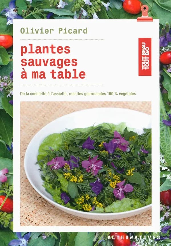 Plantes sauvages à ma table : de la cueillette à l'assiette, recettes gourmandes 100 % végétales