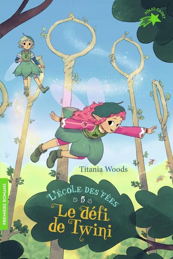 Le défi de Twini
