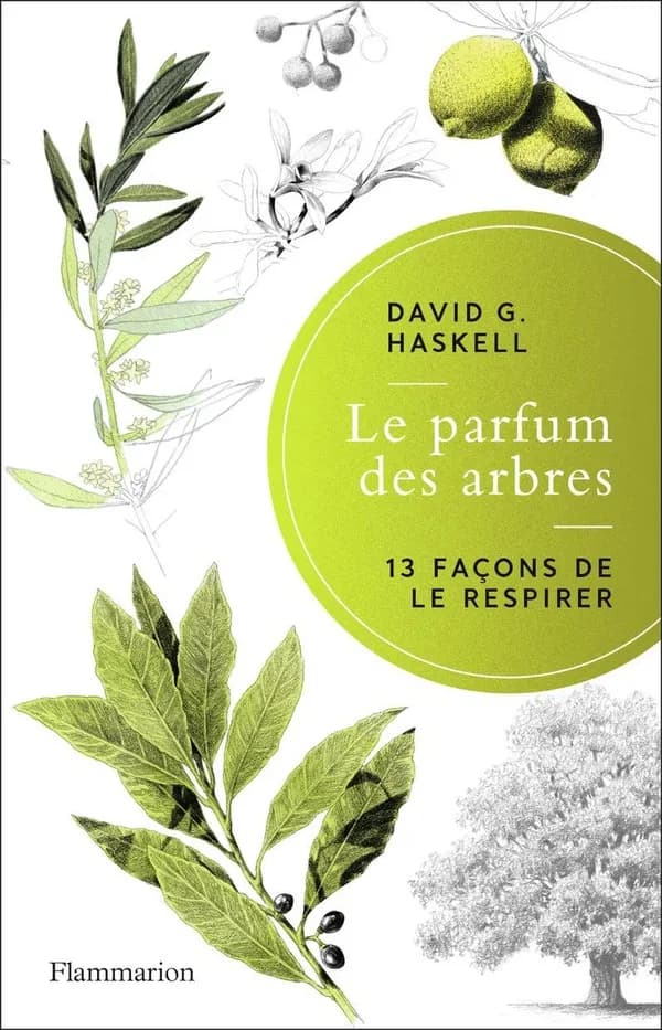 Le parfum des arbres
