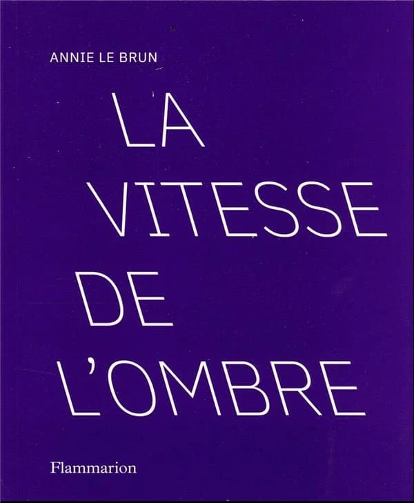 La vitesse de l'ombre