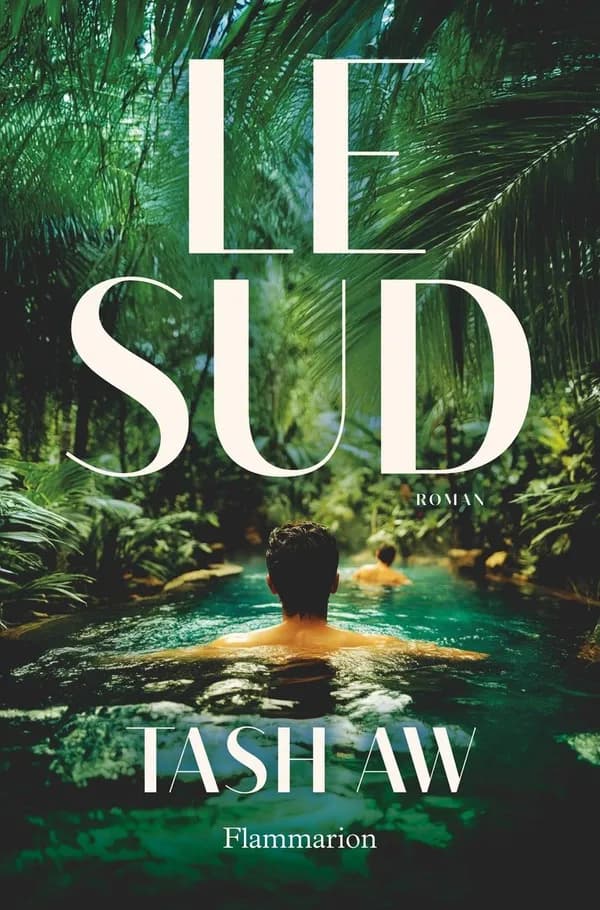 Le Sud : roman