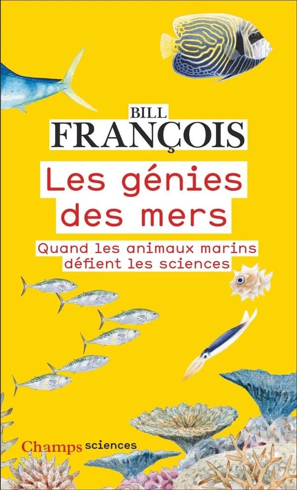Les génies des mers : quand les animaux marins défient les sciences