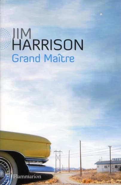 Grand Maître : faux roman policier