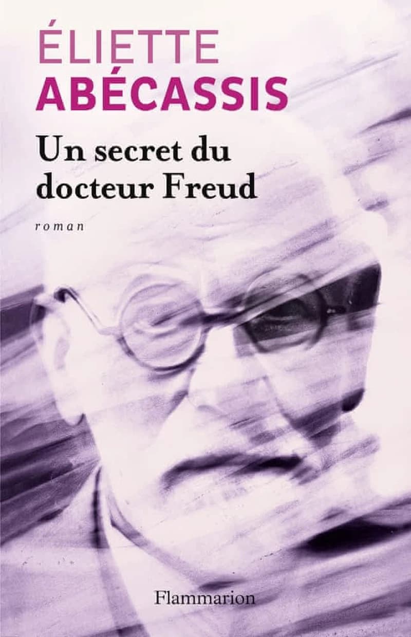 Un secret du docteur Freud : roman