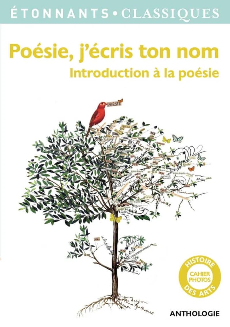 Poésie, j'écris ton nom (Éd. revue) présentation, choix des poèmes, notes et dossier par Manuelle Duszynski,... ; cahier photos par Alyette de Béru