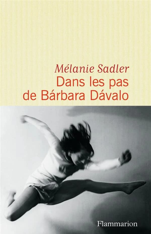 Dans les pas de Bárbara Davalo : roman