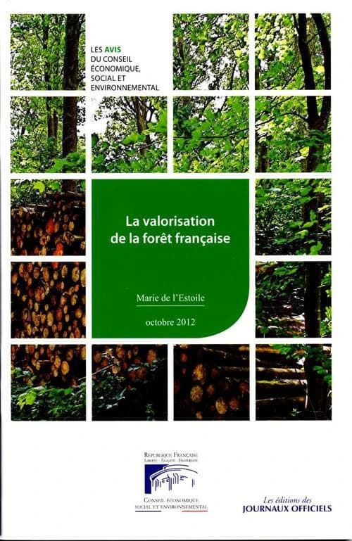 La valorisation de la forêt française