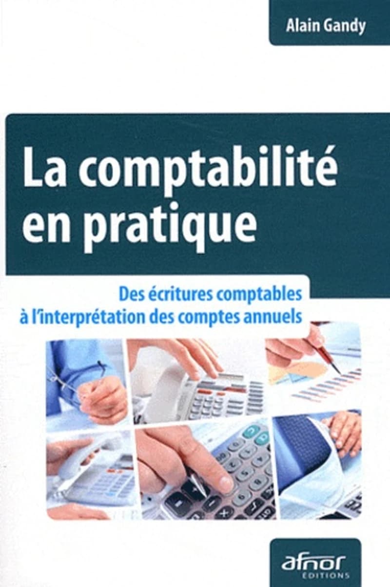 La comptabilité en pratique : des écritures comptables à l'interprétation des comptes annuels