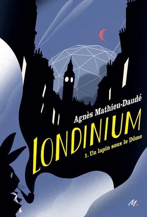 Un lapin sous le Dôme