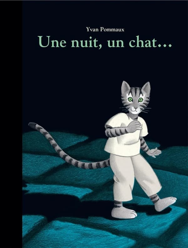 Une nuit, un chat