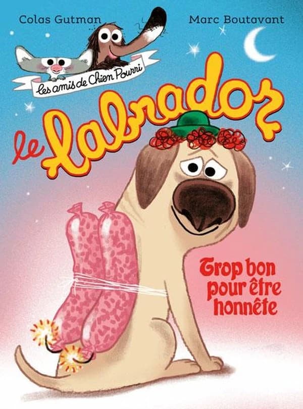 Le labrador : trop bon pour être honnête