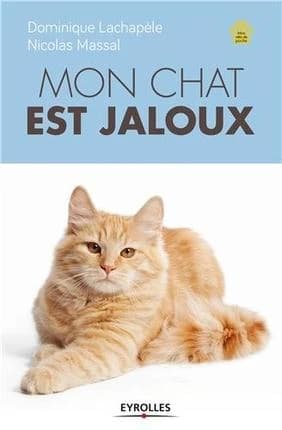 Mon chat est jaloux : mieux le comprendre et le rassurer au quotidien