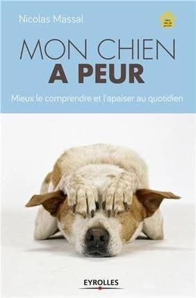 Mon chien a peur : mieux le comprendre et l'apaiser au quotidien