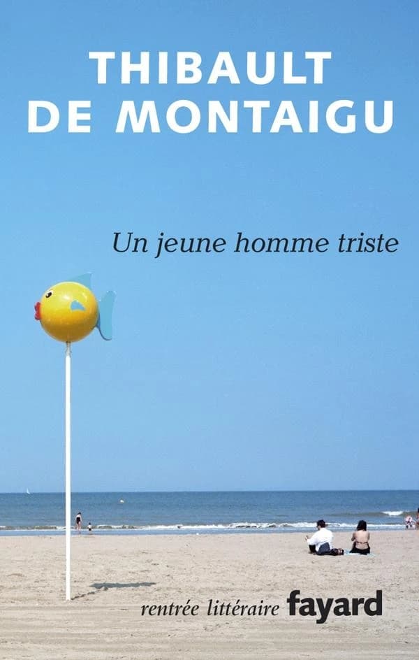 Un jeune homme triste : roman