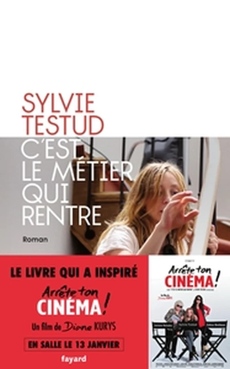 C'est le métier qui rentre : roman