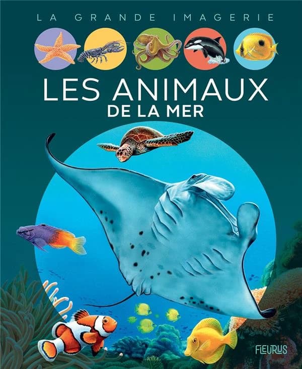 Les animaux de la mer (2e éd.) textes, Émilie Beaumont ; illustrations, Marie-Christine Lemayeur et Bernard Alunni