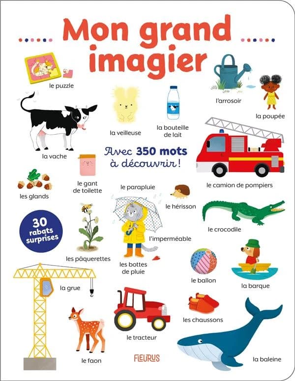 Mon grand imagier : avec 350 mots à découvrir !