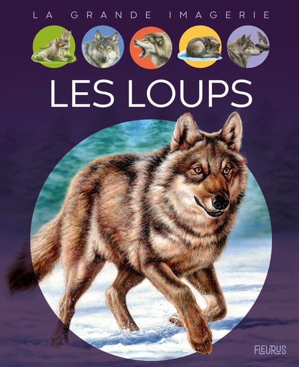 Les loups (3e éd.) textes, Agnès Vandewiele ; illustrations, Marie-Christine Lemayeur et Bernard Alunni