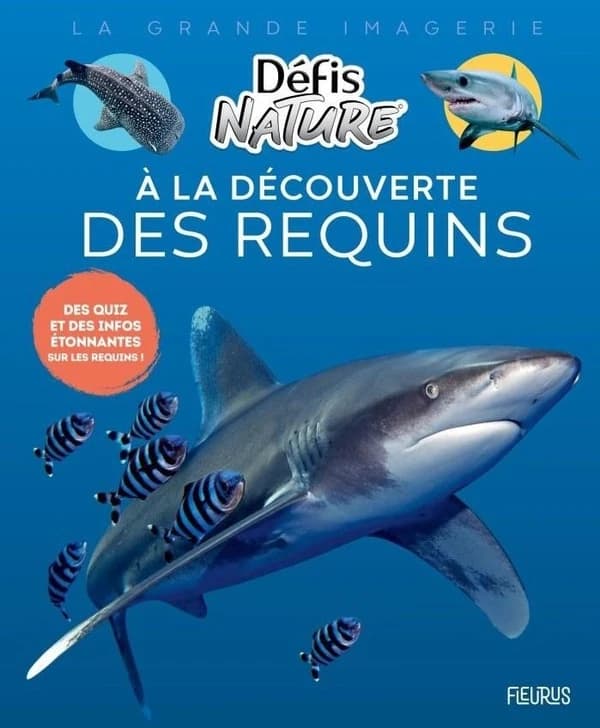 À la découverte des requins (1ère édition)