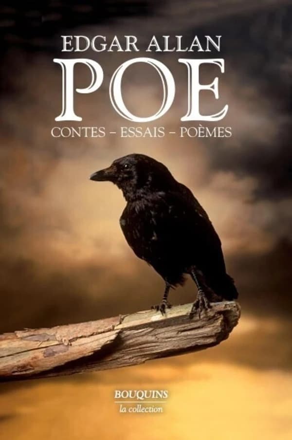 Contes - essais - poèmes