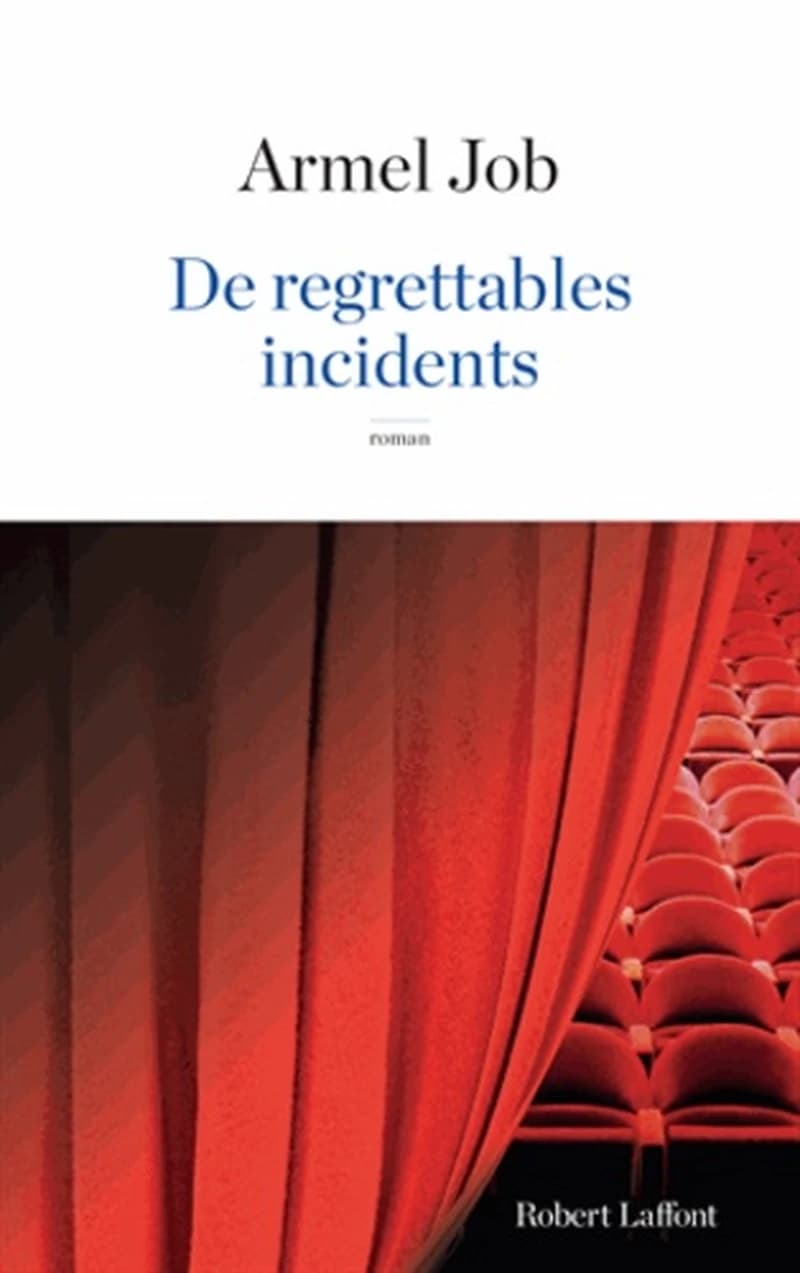 De regrettables incidents : roman