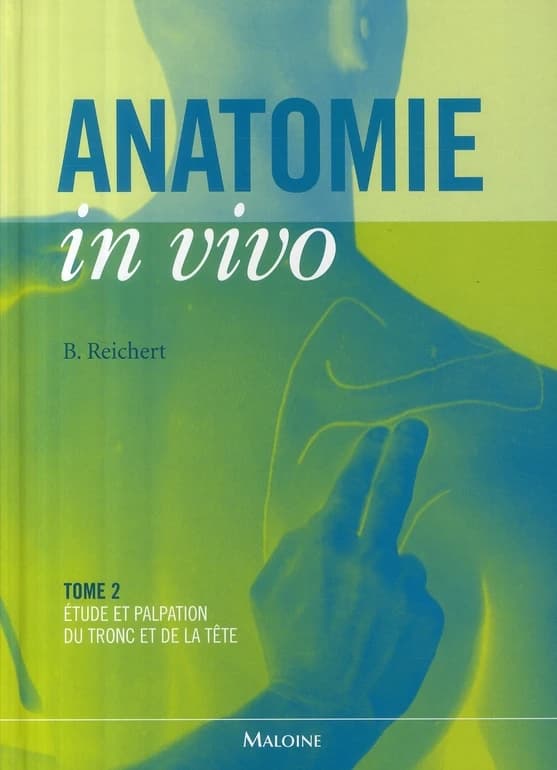 Étude et palpation du tronc et de la tête