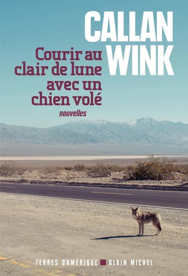 Courir au clair de lune avec un chien volé : nouvelles