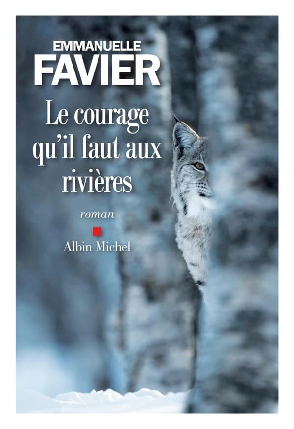 Le courage qu'il faut aux rivières : roman